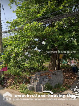 รูป ขายที่ดินเปล่า ซอยรังสิต-นครนายก2 ซอย1 คลอง 1 เนื้อที่ 109 ตารางวา ใกล้ฟิวเจอร์พาร์ครังสิต - รูปที่ 5/9