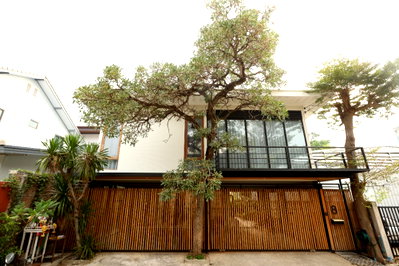 Houses for rent วิทยาลัยสิ่งแวดล้อม : WS7316 🔥 For Rent: Detached house in Chokchai 4, suitable for a home office, near the BTS Skytrain. Only 75,000 THB/month.