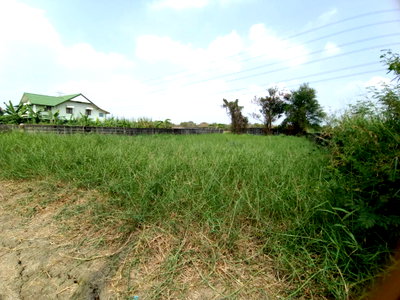 ขายที่ดิน : ที่ดินถูกๆ ขายเท่าราคาประเมิน 127ตรว. ถมแล้ว  ซ.คุ้มเกล้า 5