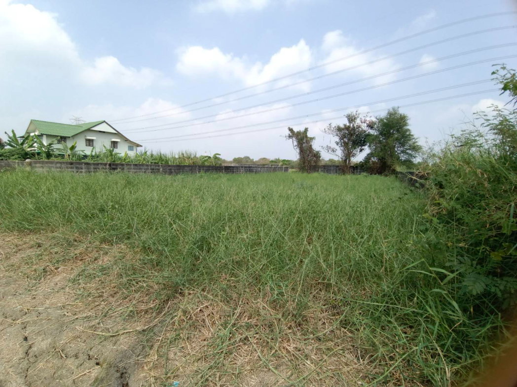 รูป ที่ดินถูกๆ ขายเท่าราคาประเมิน 127ตรว. ถมแล้ว ซ.คุ้มเกล้า 5 - รูปที่ 1/6