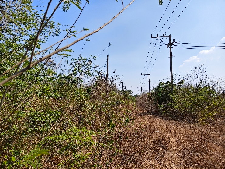 รูป 🏡💥 ขายที่ดินถมแล้ว – น้ำไฟครบ – ราคาต่ำสุดในโซนเดียวกัน! 📍 ใกล้โรงเรียนนานาชาติหัวหิน เนื้อที่ 100 ตารางวา - รูปที่ 7/13