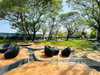 listing thumbnail image 18