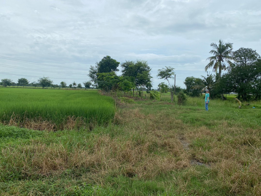 รูป ขายที่ดินหนองจอก ถนนมิตรไมตรี6  ที่สวยติดถนนลาดยาง  มีสะพานข้ามคลอง - รูปที่ 5/6