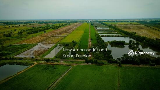 รูป ขายที่ดินเปล่าพระอาจารย์ องครักษ์ นครนายก 8แปลง 100-150ตรว - รูปที่ 2/5