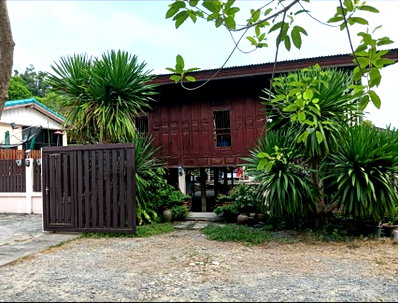 ที่ดิน วิทยาลัยเทคนิคการสัตวแพทย์ : ขายบ้านพร้อมที่ดิน ใกล้ถนนประเสริฐมนูกิจ ซ.เสนานิคม 1 ซอย 25 ขนาด 145.5 ตารางวา บรรยากาศดี เหมาะอยู่อาศัย