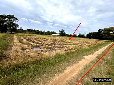 ขายที่ดิน : ที่ดินว่างเปล่า 1272 ตร.วา อุทุมพรพิสัย ศรีสะเกษ 1M
