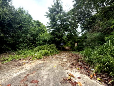 Land for sale Chonburi : LAND 1600 Sq.w. Phanat Nikhom Chonburi for 3.5M