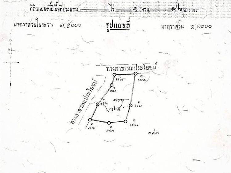 รูป ขายที่ดิน ทำเลหนองจอม สันทราย เชียงใหม่ (ID 2864109) - รูปที่ 4/5