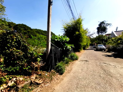 ที่ดิน สำนักงานขนส่งจังหวัดเชียงใหม่ : ที่ดินเปล่า 442 ตร.วา ช้างคลาน เชียงใหม่ เมืองเชียงใหม่ เชียงใหม่ 29M