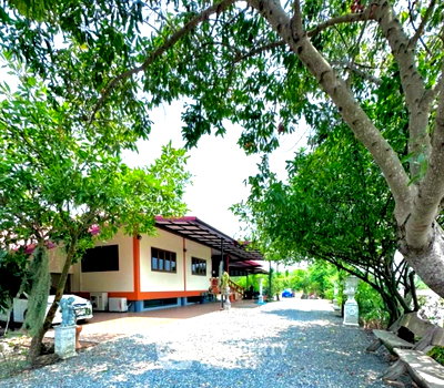 Houses for sale Nonthaburi : 4-BR House 600 Sqm For Sale In Bang Khu Rat, Bang Bua Thong (ID 1512226)