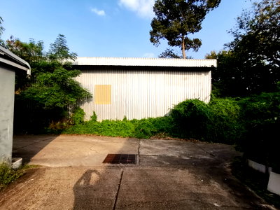 Factory for sale Amnat Charoen : FACTORY 240 Sq.w. Muang Amnat Charoen Amnat Charoen for 3.5M