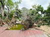 listing thumbnail image 19