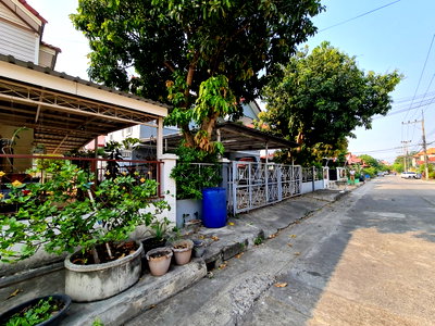 บ้านเดี่ยว วิทยาลัยเทคนิคปทุมธานี : บ้านเดี่ยว 56 ตร.วา ดาวเรือง ปทุมธานี เมืองปทุมธานี ปทุมธานี 3.1M
