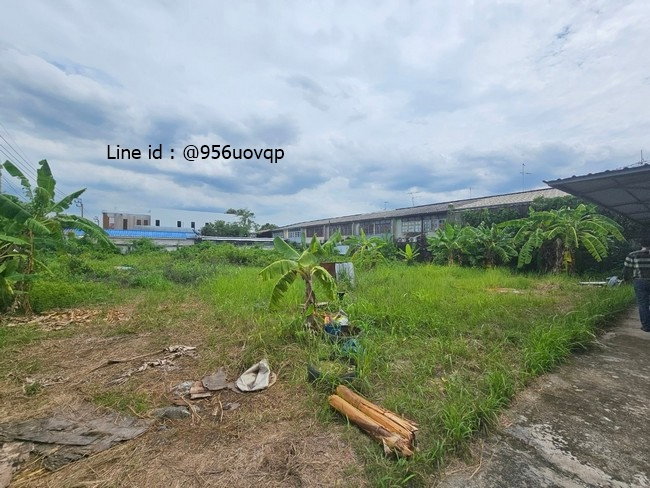 รูป sss422 ขาย ที่ดิน พร้อมสิ่งปลูกสร้าง ถนนรามคำแหง - รูปที่ 13/14