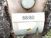listing thumbnail image 30