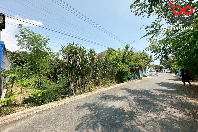 รูป ขายที่ดิน 100 ตร.ว. พุทธมณฑลสาย 2 ทำเลดี แปลงสวย เหมาะสร้างบ้าน  - รูปที่ 3/6