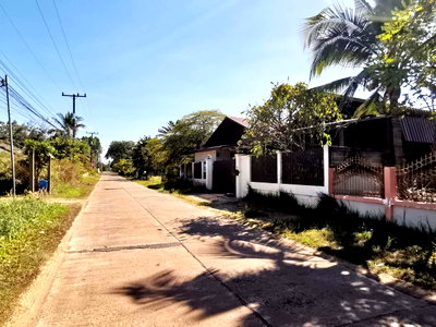 บ้านเดี่ยว ถนนเลี่ยงเมืองอุบลราชธานี : บ้านเดี่ยว 200 ตร.วา บ้านเกษตรพัฒนา อุบลราชธานี วารินชำราบ อุบลราชธานี 1.8M