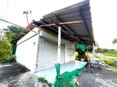 บ้านเดี่ยว ชลบุรี : บ้านเดี่ยว 1620 ตร.วา ศรีราชา ชลบุรี 31.3M