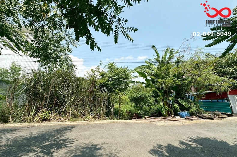 รูป ขายที่ดิน 100 ตร.ว. พุทธมณฑลสาย 2 ทำเลดี แปลงสวย เหมาะสร้างบ้าน  - รูปที่ 4/6