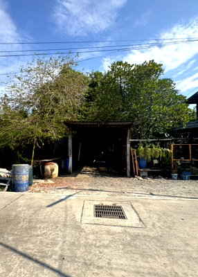 Land for sale Bang Bo Samut Prakarn : Land for sale, Khlong Dan Bang Bo Samut Prakan