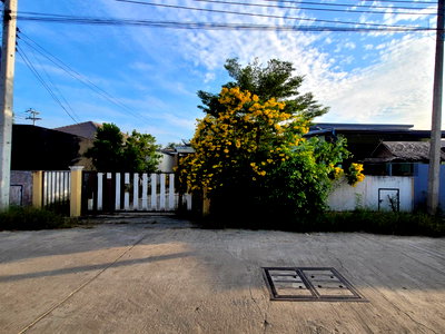 บ้านเดี่ยว วิทยาลัยเทคนิคเพชรบุรี : บ้านเดี่ยว 80 ตร.วา กัสมา 2 (เฟส 3)  เพชรบุรี เมืองเพชรบุรี เพชรบุรี 2.4M