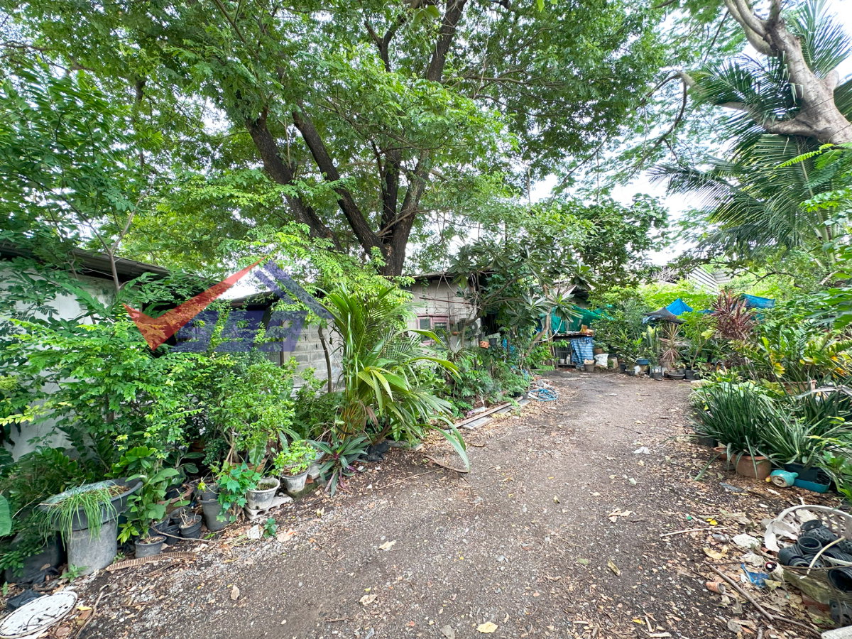 picture 🏙️ Land with Buildings for Rent - Suwinthawong | 2 Rai  REF. 003LSREK - 11/16