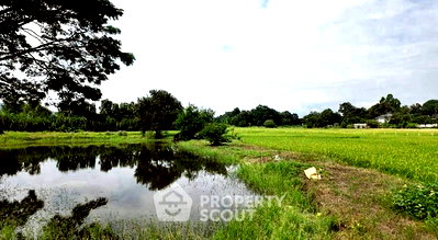 Land for sale Chiang Mai : Land For Sale In Huai Sai, Mae Rim Chiang Mai (ID 2868261)