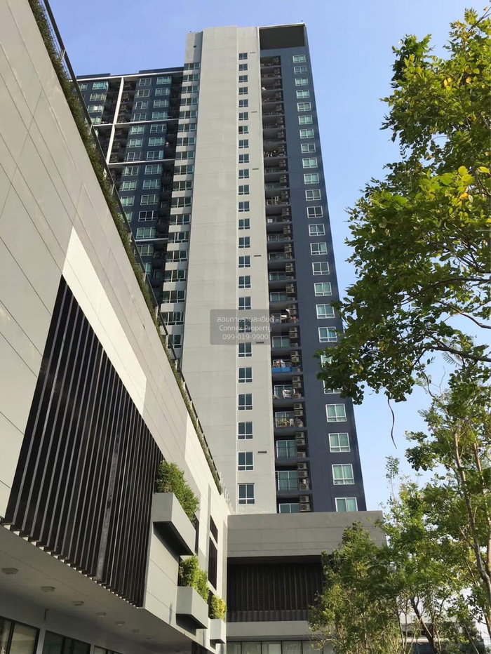 รูป เช่าคอนโด เดอะ เบส สุขุมวิท 77 BTS-อ่อนนุช พระโขนงเหนือ เขต วัฒนา กรุงเทพ CX-153172 ✅ ทักไลน์ @connexproperty ตอบทันที ทีมงานมืออาชีพ ✅ - รูปที่ 11/11