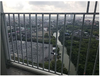 listing thumbnail image 11