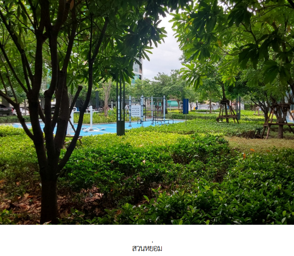 รูป ห้องชุด/คอนโดมิเนียม 24.16 ตร.ม. ห้องชุด โครงการ ลุมพินี วิลล์ แจ้งวัฒนะ 10 กรุงเทพมหานคร หลักสี่ กรุงเทพมหานคร 1.6M - รูปที่ 18/24