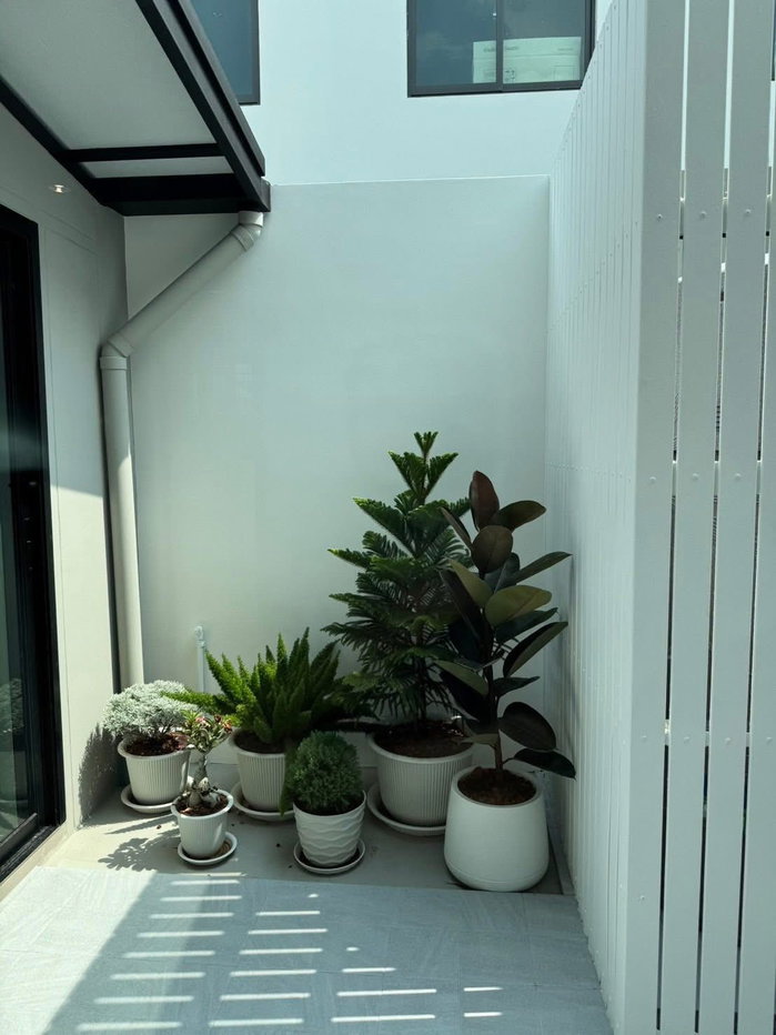 รูป ND0560  ให้เช่า Pleno Sukhumvit - Bangna 4  บ้านใหม่ ไม่เคยเข้าอยู่อาศัย - รูปที่ 16/16