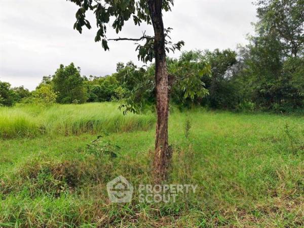 รูป ที่ดินขาย อนุสาวรีย์ บางเขน กรุงเทพมหานคร (ID 2869542) - รูปที่ 3/3