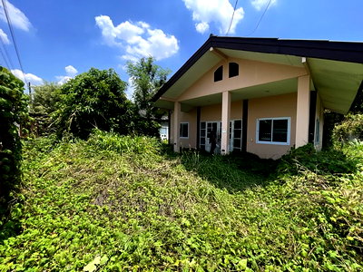 Houses for sale : FOR SALE  HOUSE PROPERTY  1602000 BAHT.