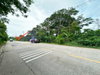 listing thumbnail image 11