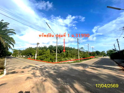 ขายที่ดิน : ที่ดินว่างเปล่า 564.2 ตร.วา ปะเหลียน ตรัง 4.2M