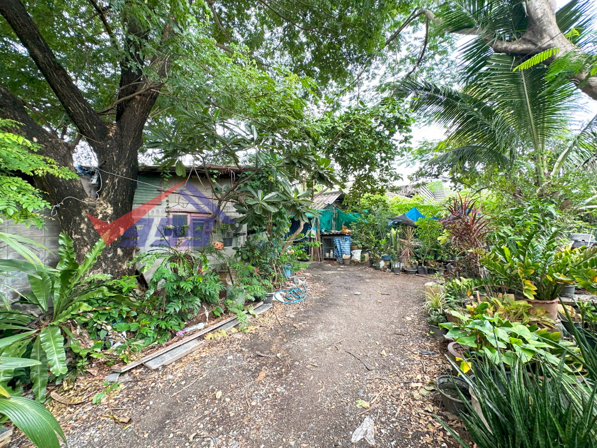 picture 🏙️ Land with Buildings for Rent - Suwinthawong | 2 Rai  REF. 003LSREK - 15/16
