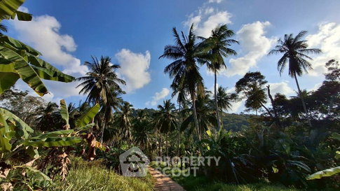 Land For Sale Near Nathon Pier, Ko Samui (Surat Thani) (ID 2834151)