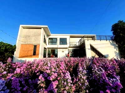 Houses for sale Chiang Mai : Modern House for sale !, @ Mueangkaeo, maerim , chiangmai