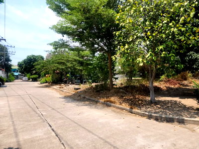 Land for sale Chonburi : Land in Pattaya aprime area in Soi thappaya- Near Pratumnak Hills