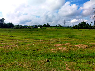 Land for sale : Land for Sale in Pak Chong, Chom Bueng, Ratchaburi 12 Rai 149 sq.wah Only THB 400,000 per rai