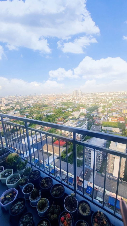 picture IDEO Sukhumvit                      115  - 6/7