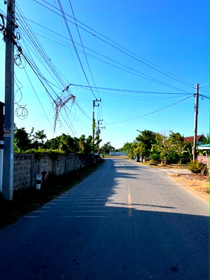 ที่ดิน รร.สาธิตม.ราชภัฏนครปฐม : ขายที่ดิน 7-2-80.5 ไร่ อยู่หลังมหาวิทยาลัยราชภัฏนครปฐม ราคาดีมาก