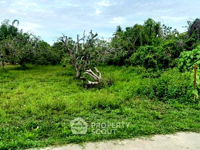 ที่ดิน สารภี เชียงใหม่ : ที่ดินสำหรับขาย ในยางเนิ้ง สารภี เชียงใหม่ (ID 2870160)