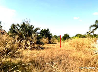 ขายที่ดิน : ที่ดินว่างเปล่า 781 ตร.วา เมืองปราจีนบุรี ปราจีนบุรี 6.6M