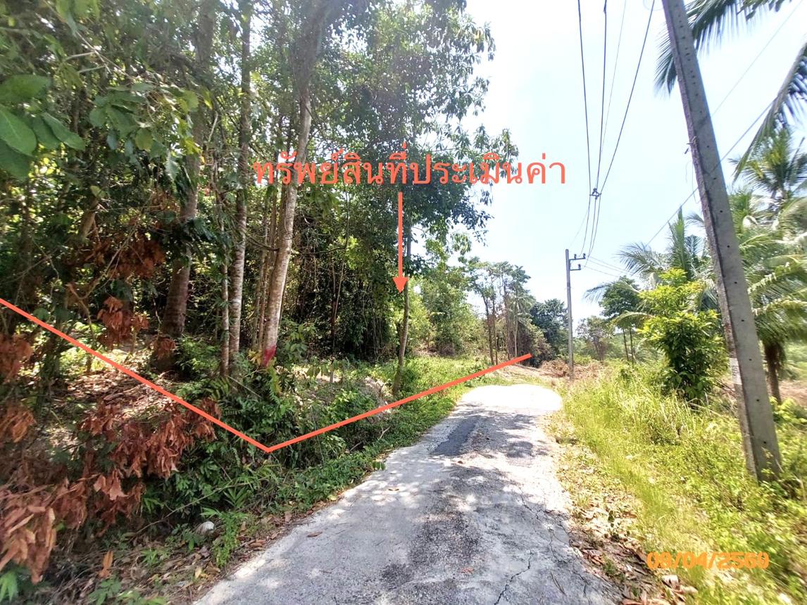 picture LAND 2986 Sq.w. Ko Samui Surat Thani for 20.9M - 7/13