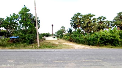 ขายที่ดิน : ฟาร์ม 3464 ตร.วา สทิงพระ สงขลา 6.9M
