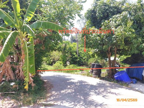 LAND 1708 Sq.w. Ko Samui Surat Thani for 12.7M