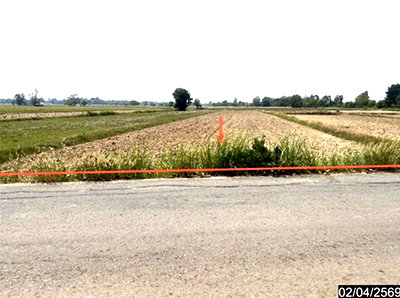 ขายที่ดิน : ที่ดินว่างเปล่า 1315 ตร.วา หนองกุงศรี กาฬสินธุ์ 704,000