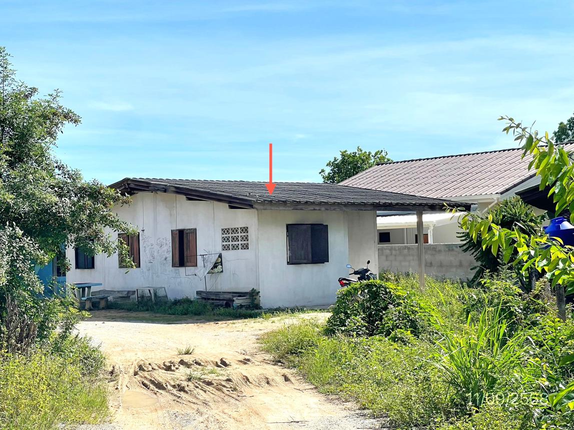 รูป บ้านเดี่ยว 110.5 ตร.วา ศรีราชา ชลบุรี 1.7M - รูปที่ 6/13
