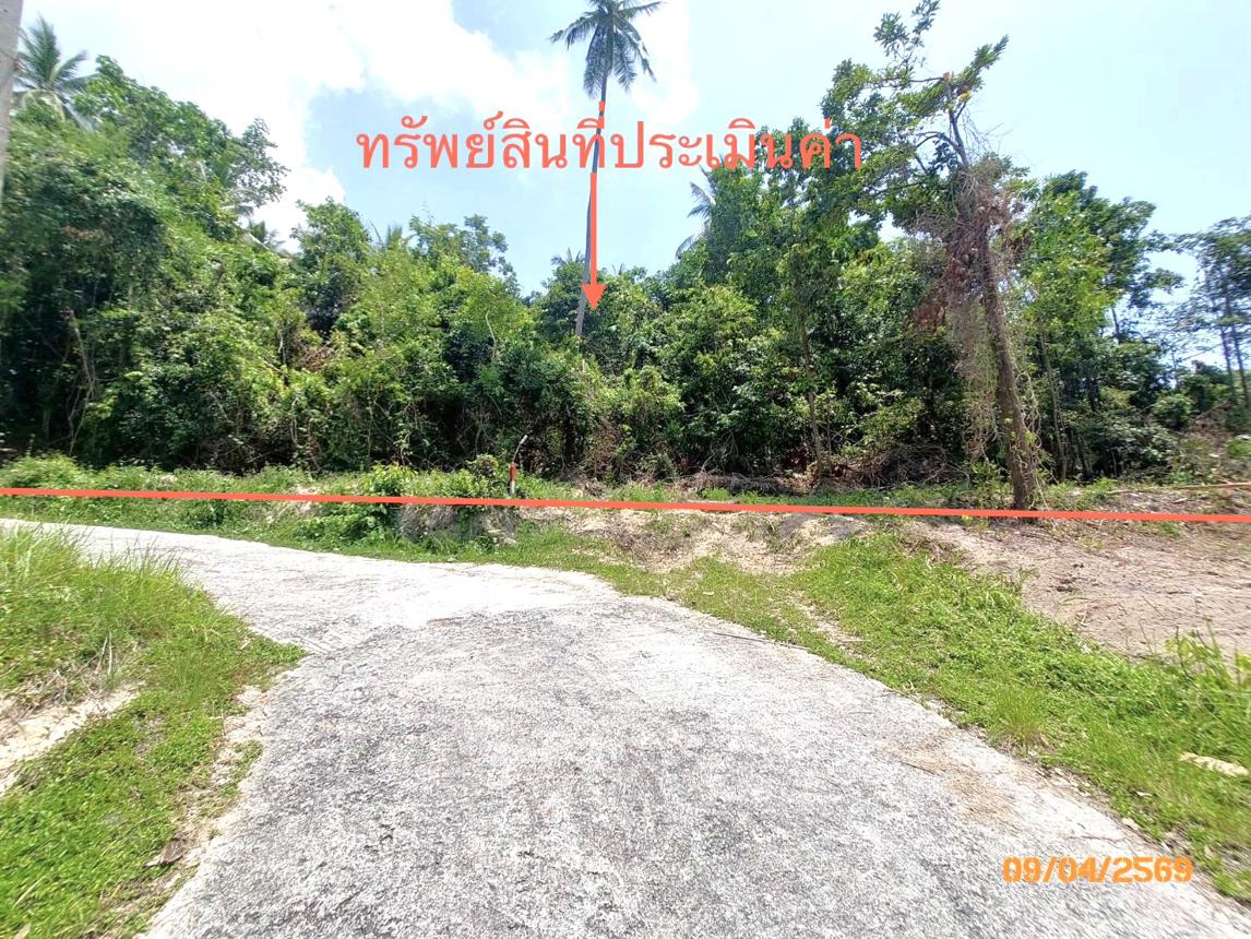 picture LAND 2986 Sq.w. Ko Samui Surat Thani for 20.9M - 6/13